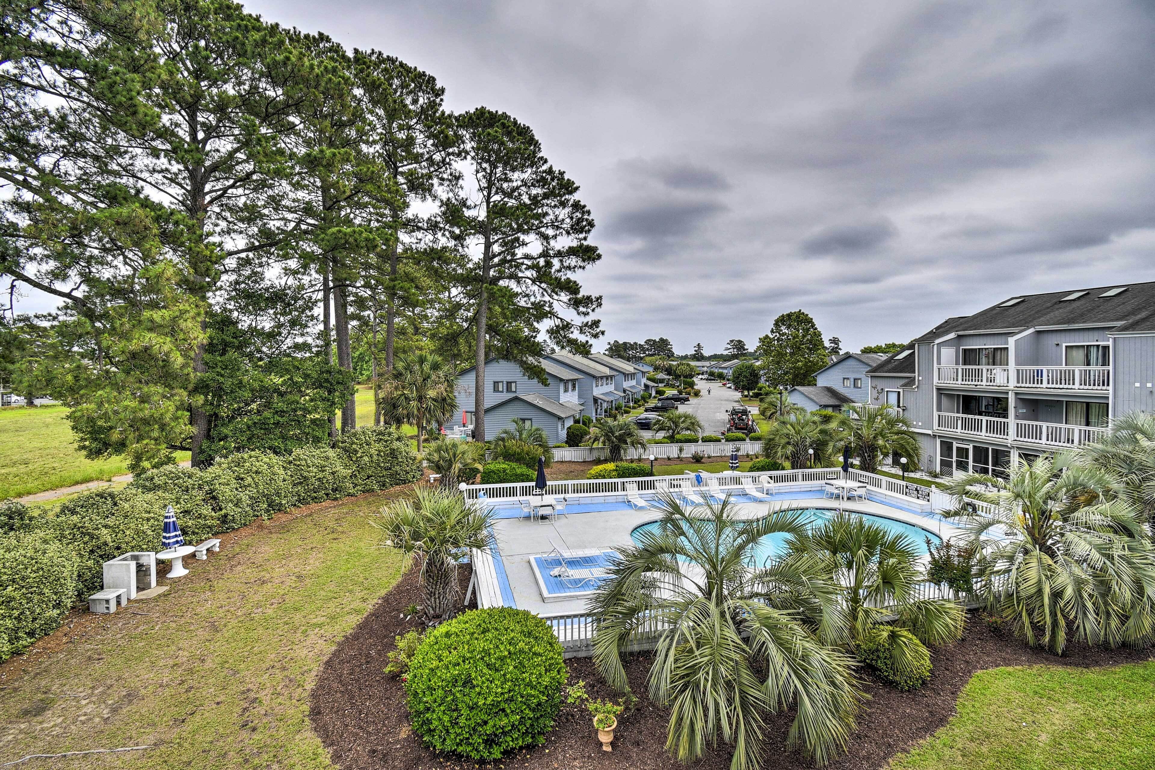 A pool area with a deck, surrounded by palm trees and a fence, with buildings in the background.