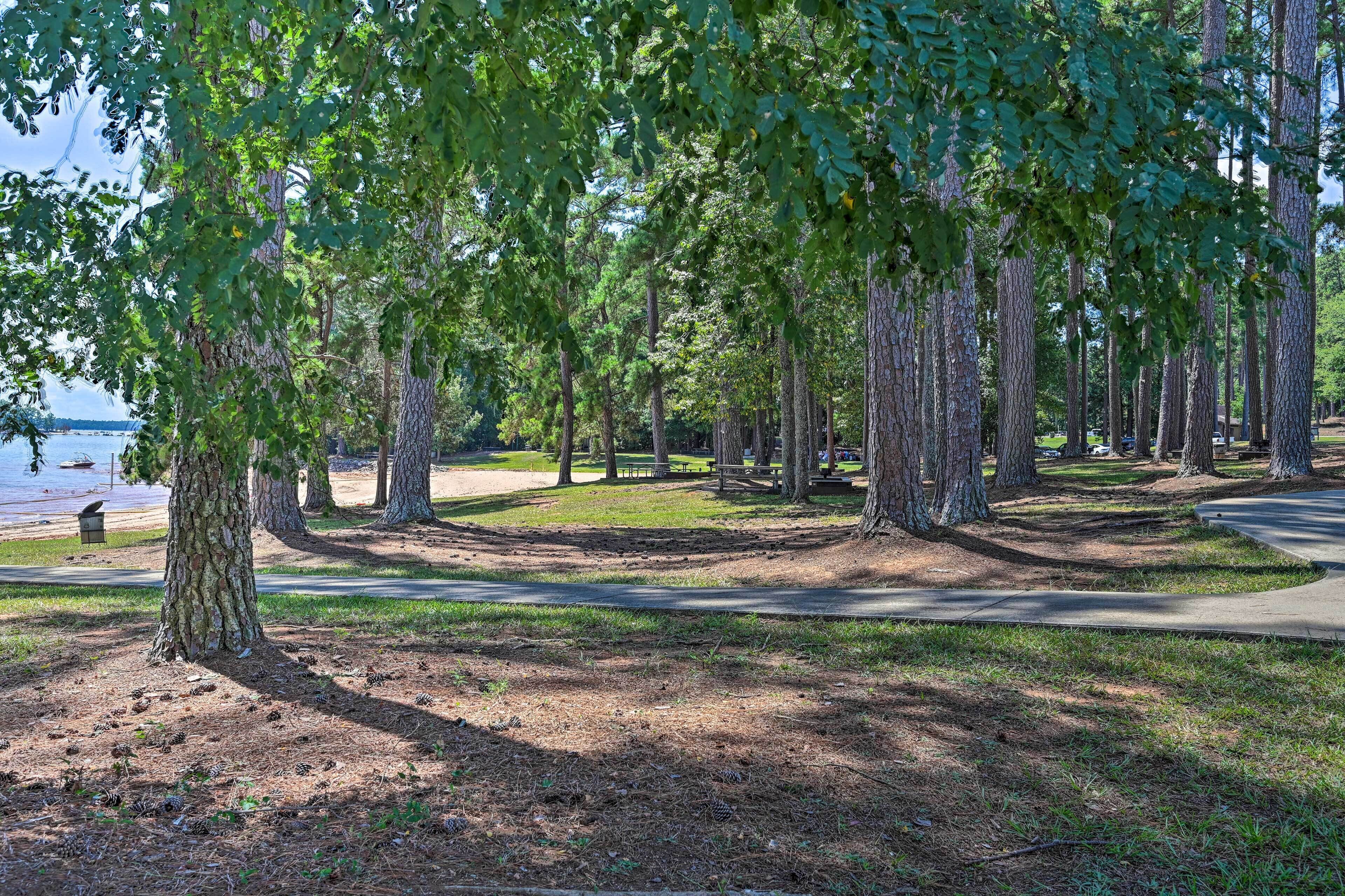 A park with a paved path, trees, and a body of water in the background.