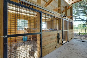 Lägenhet (1 Bedroom) | Interiör