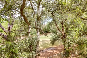 Eine natürliche Landschaft mit Bäumen und einem Feldweg.