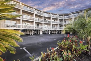 Apartment (1 Bedroom) | Interior - Hilton Head Island Gem w/ Ocean & Pool Views! (Hilton Head Island)