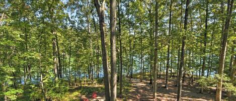 A forested campsite with a dirt path, a fire pit, and a lake in the background.