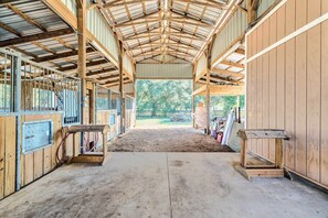 Property grounds - Lady Lake Studio - 7 Mi Lake Griffin State Park! (Lady Lake)