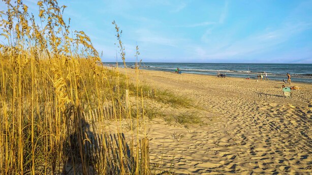 Une plage de sable avec de hautes herbes au premier plan et un ciel bleu dégagé.