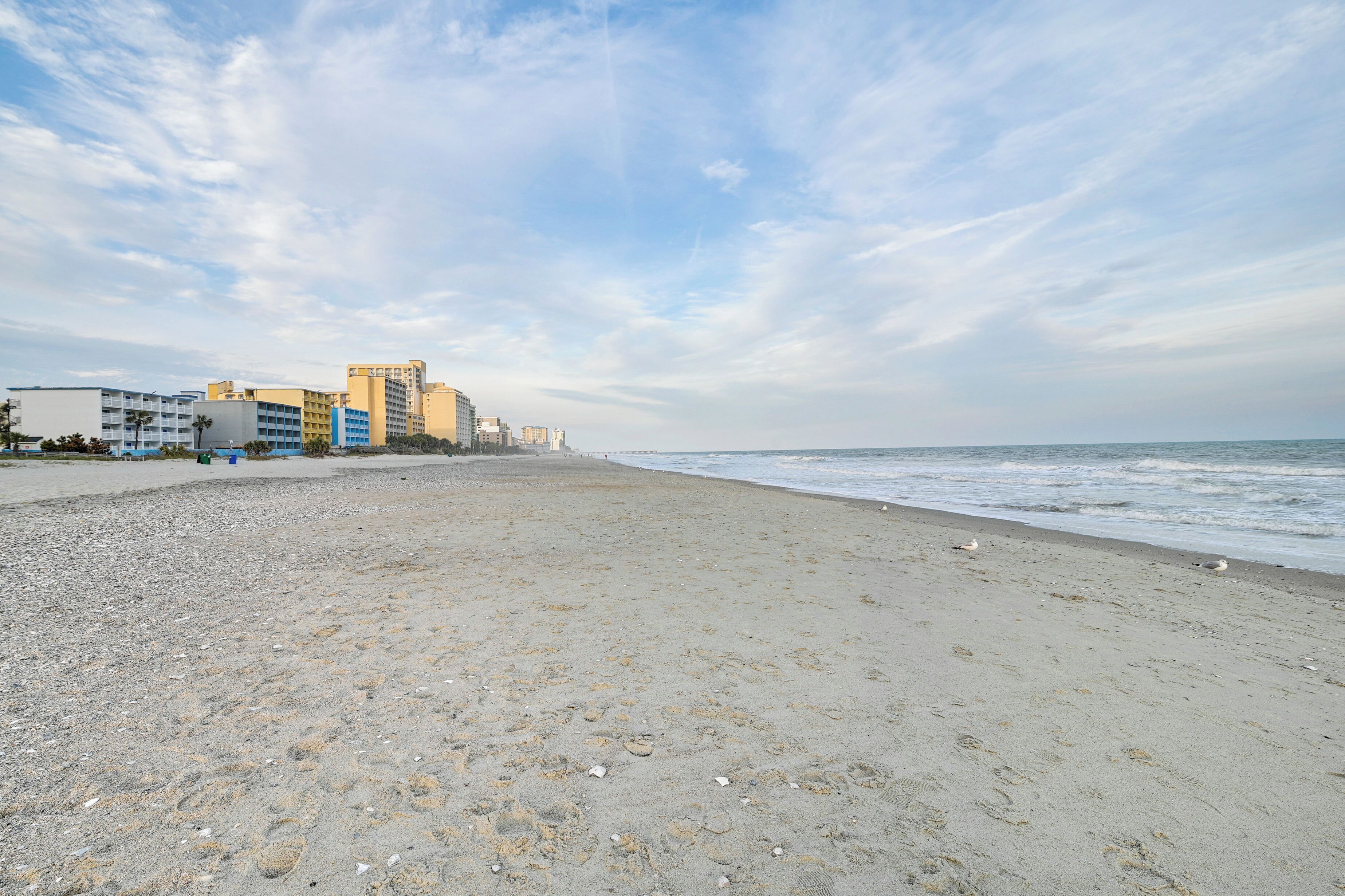 公寓 (1 Bedroom) | 內部