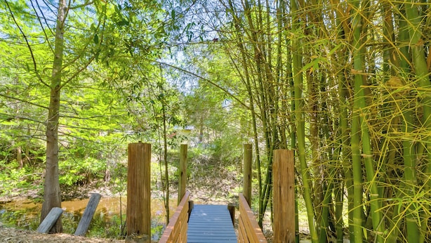 Un pont en bois situé dans une zone boisée, avec du bambou et d’autres plantes.