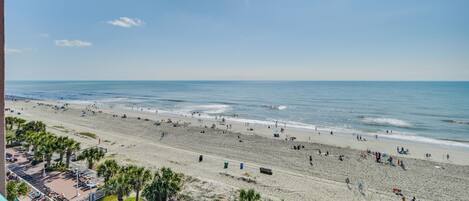 Apartment (1 Bedroom) | Interior