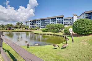 Apartment (0 Bedroom) | Interior - Oceanfront Condo w/ Balcony in Myrtle Beach! (Myrtle Beach)