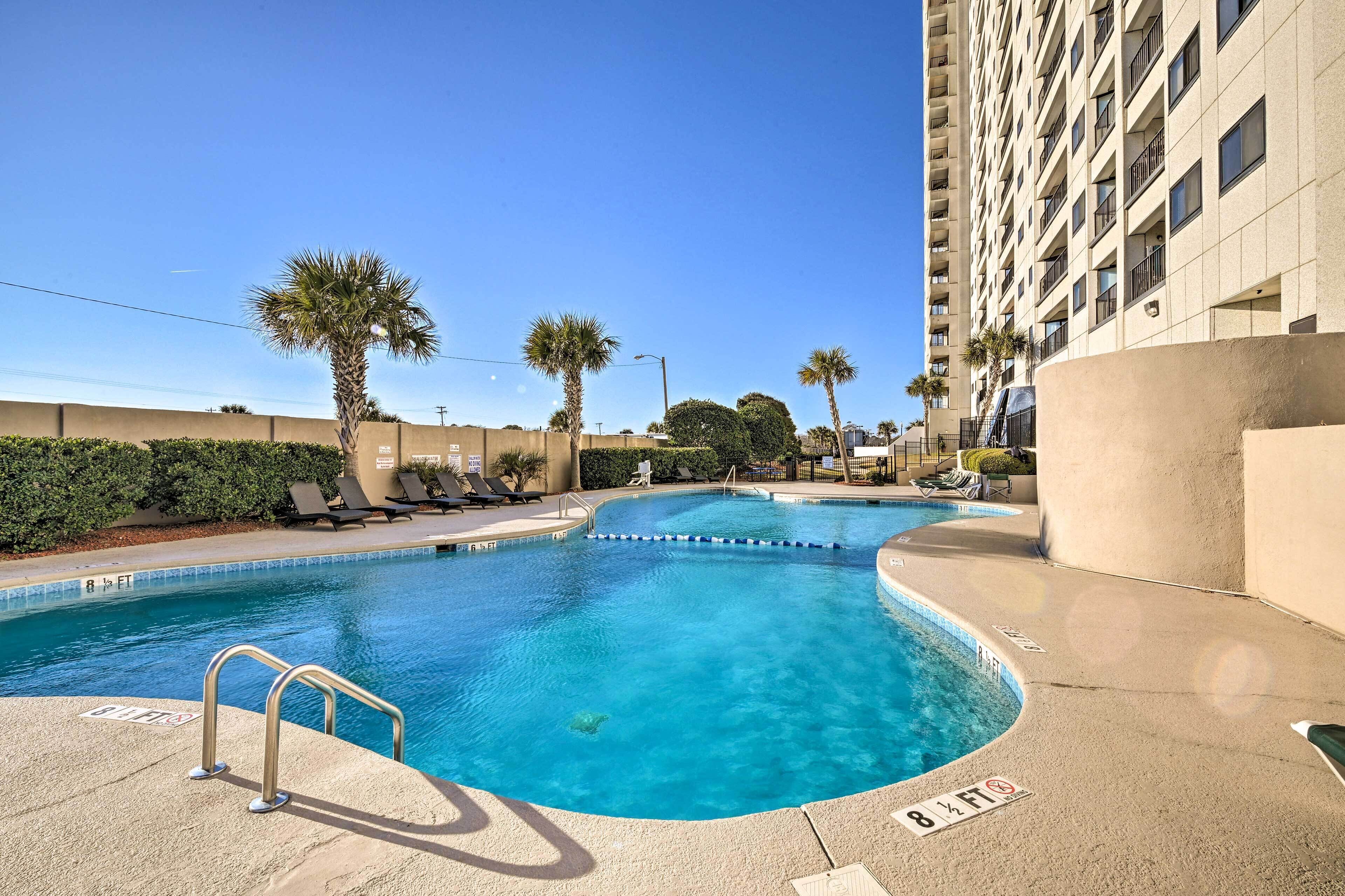 Une piscine avec un palmier et des chaises longues.