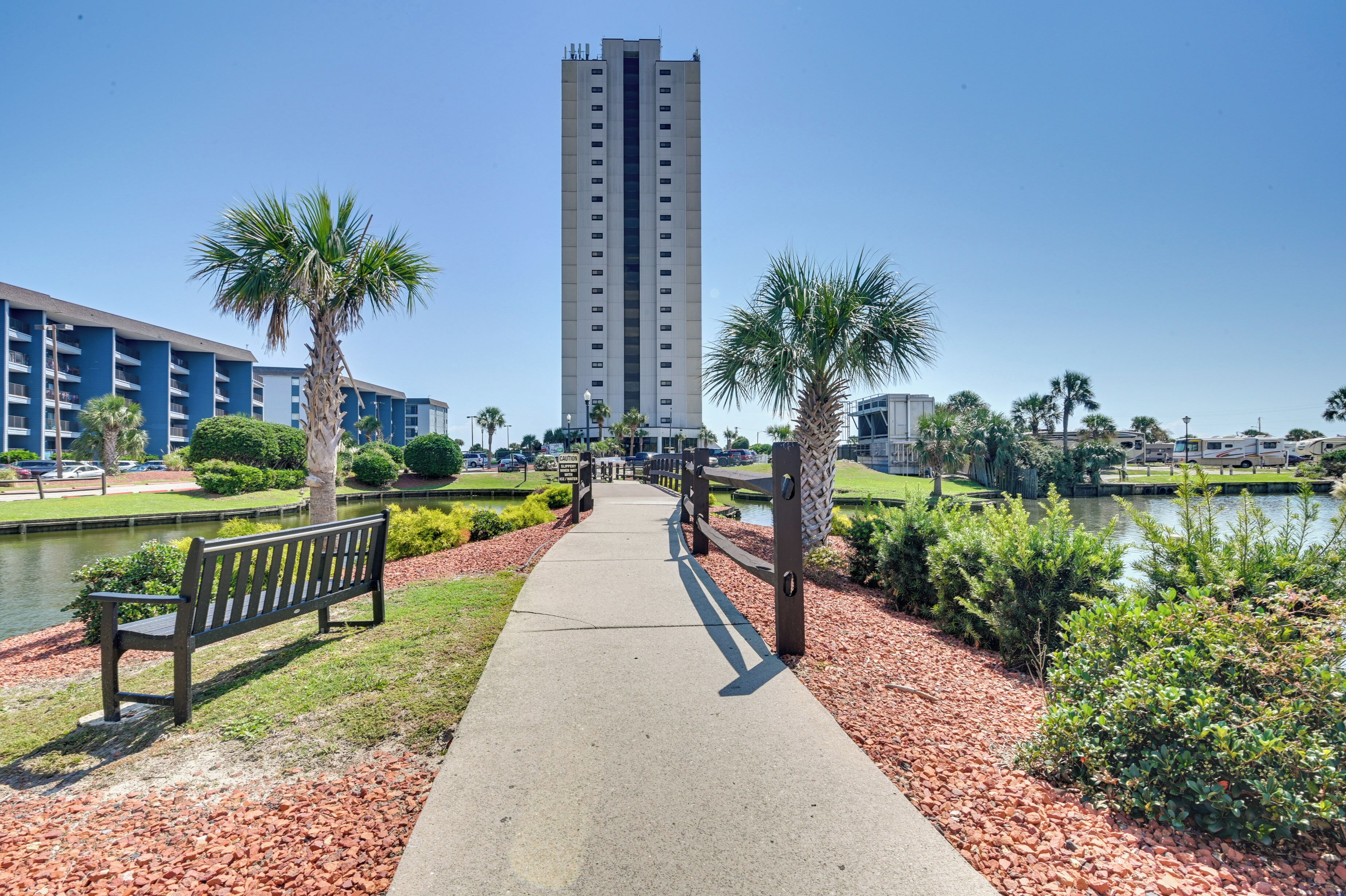 A pathway leading to a tall building with a water body and palm trees on either side.