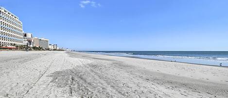 Apartment (0 Bedroom) | Interior