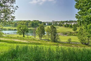 Interior - Branson Condo ~ 6 Mi to Silver Dollar City! (Branson)