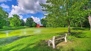Apartment (1 Bedroom) | Interior