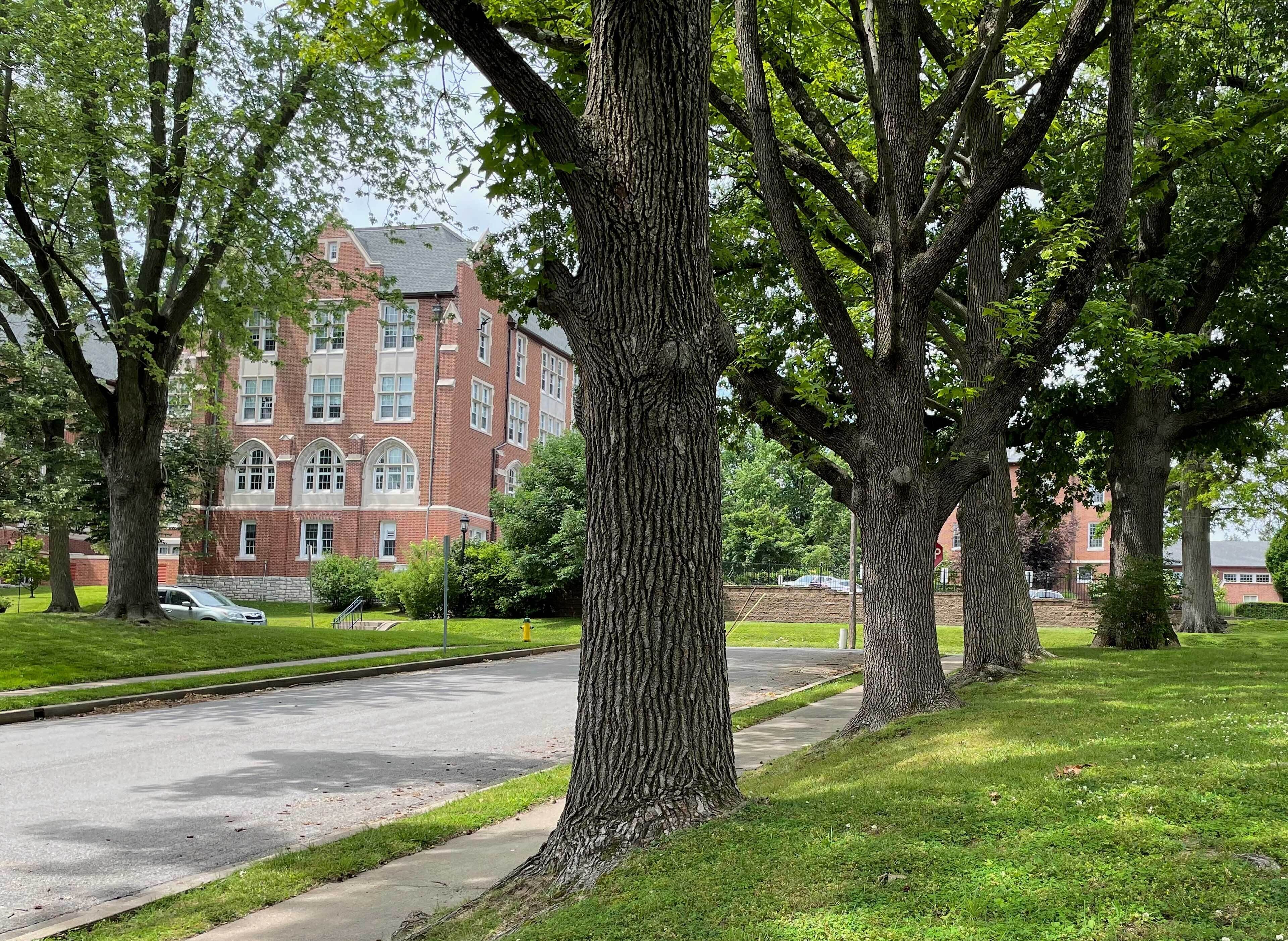 獨棟房屋 (3 Bedrooms) | 住宿內  部