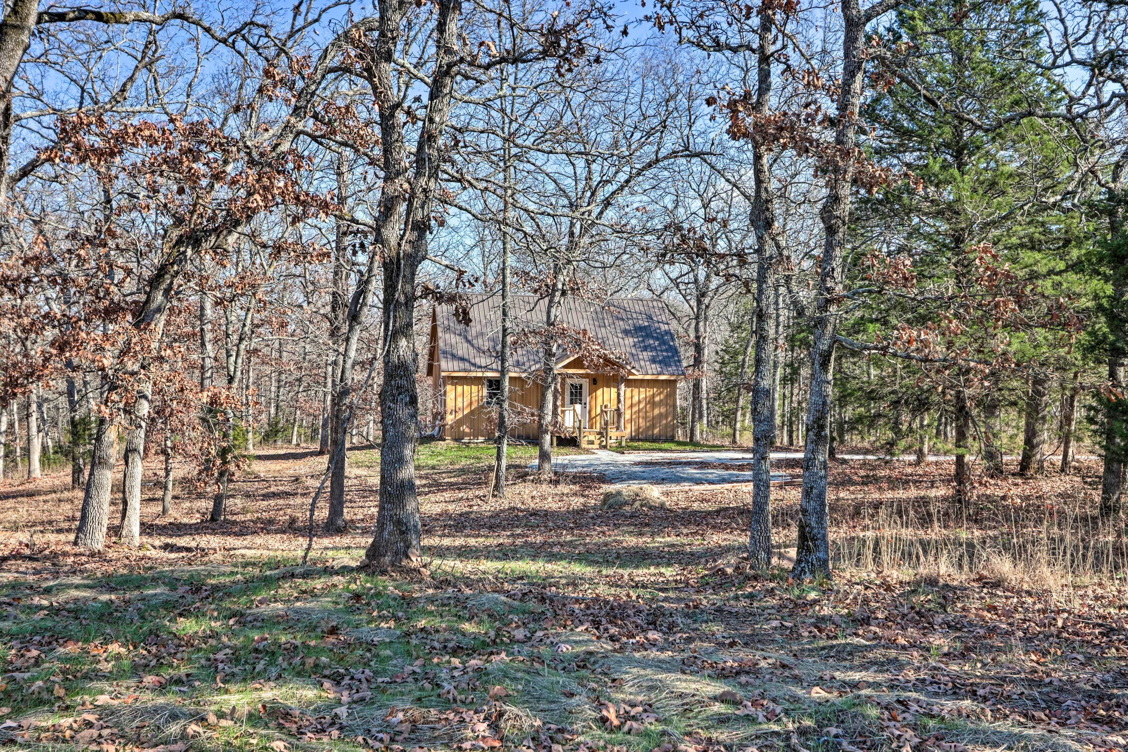 A rustic cabin surrounded by trees in a wooded area.