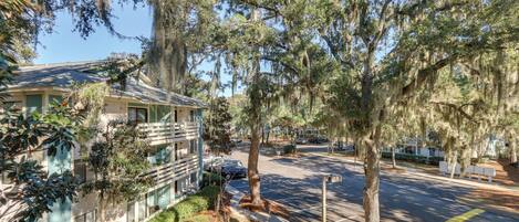 A residential street with a two-story house, a sidewalk, and trees with Spanish moss.
