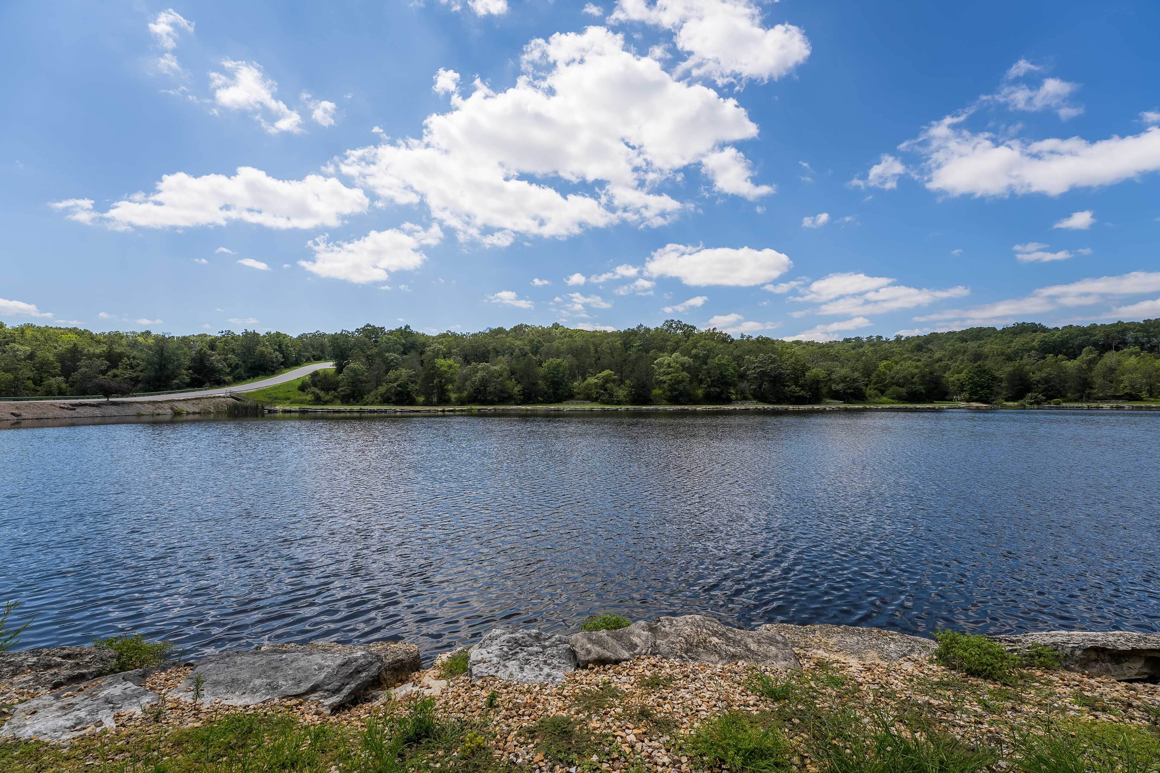 A calm lake with a clear sky and a forested area in the background.