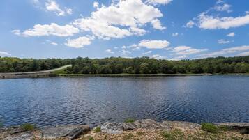 A calm lake with a clear sky and a forested area in the background.