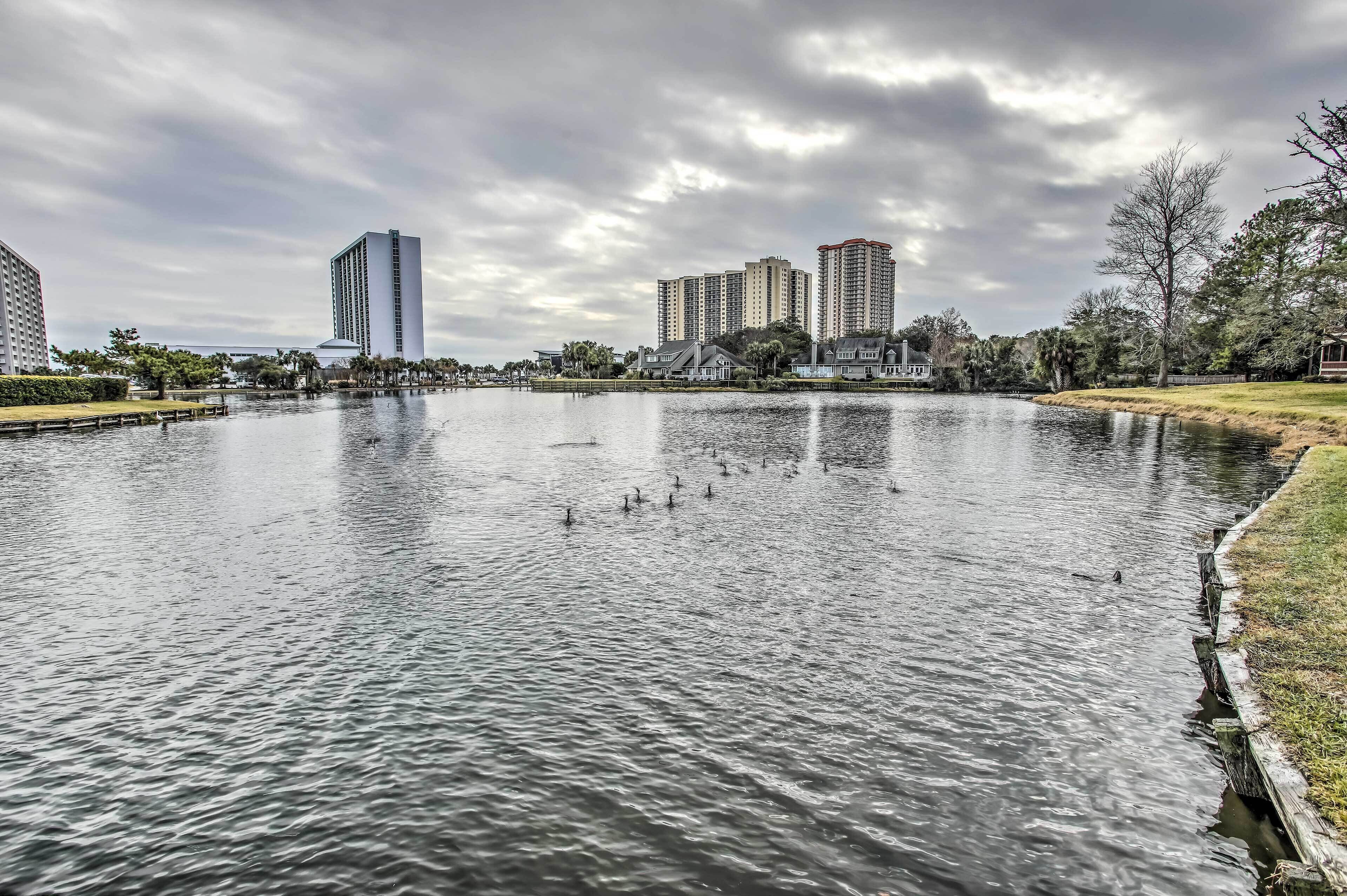 Myrtle Beach Condo w/ Pool < 1/2 Mi to Beach!