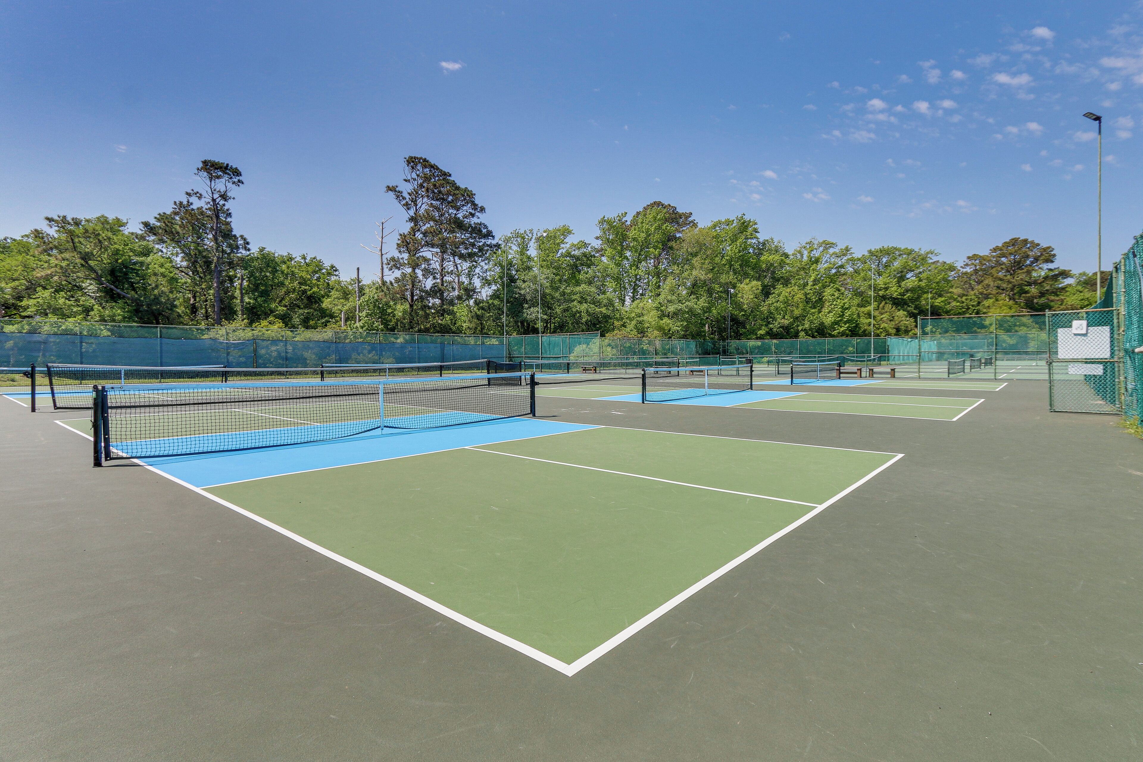 Canchas de tenis múltiples, rodeadas por una valla verde y árboles.