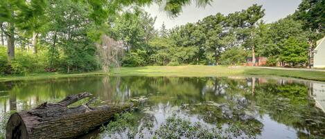 Ein friedlicher Teich mit einem gefallenen Baumstamm, umgeben von üppigem Grün und Bäumen.