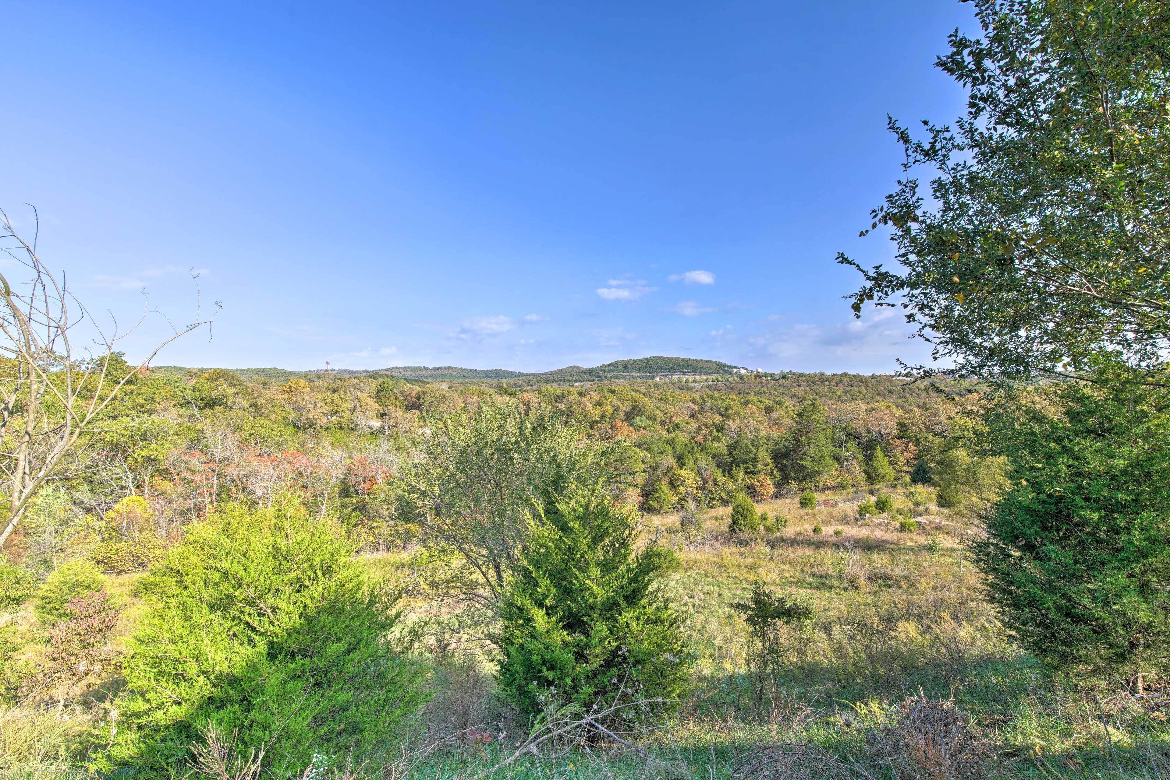 A natural landscape with a variety of trees and shrubs, a clear blue sky, and distant hills.