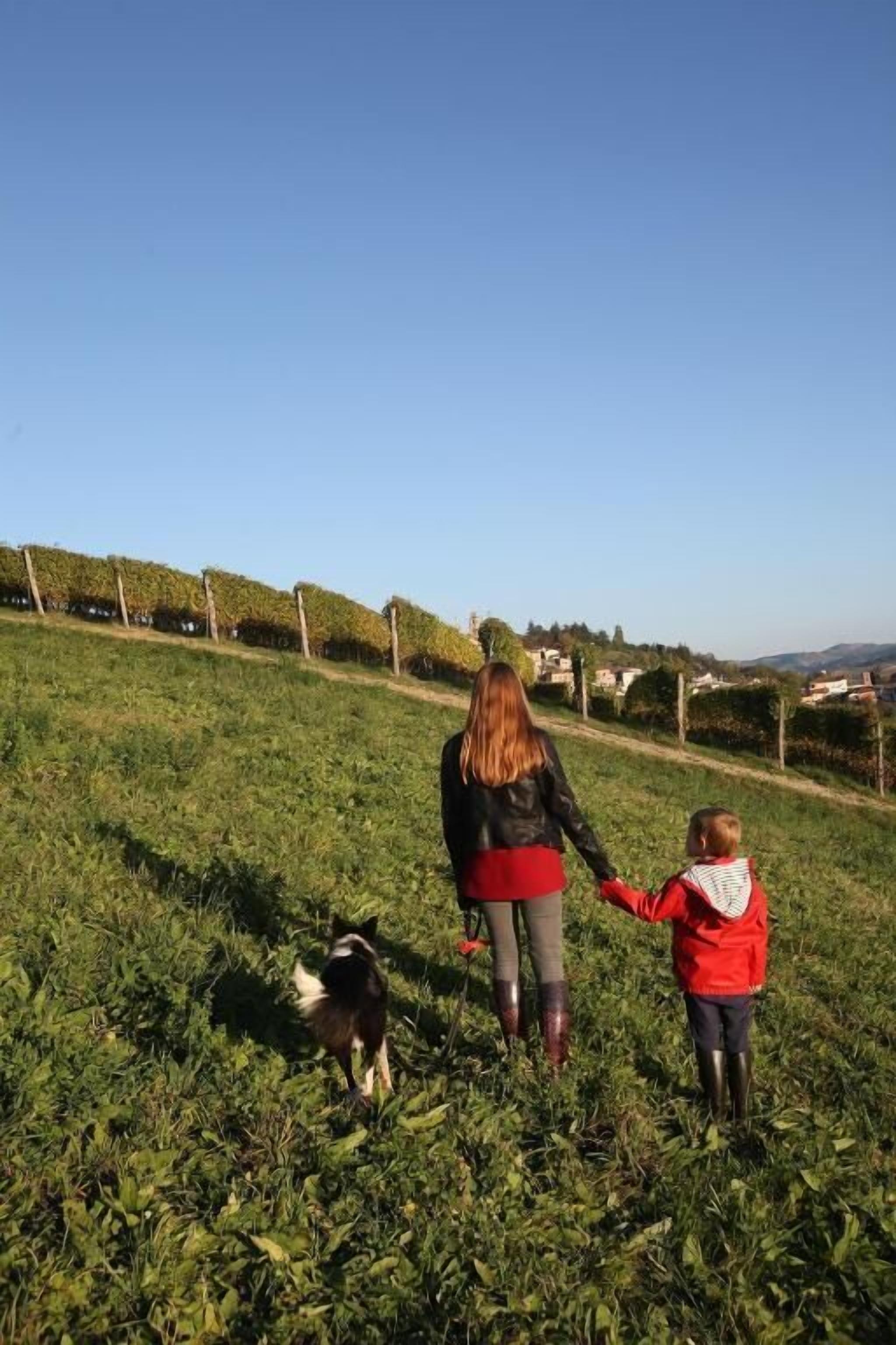 A grassy field with a person and a child holding hands, and a dog walking ahead.