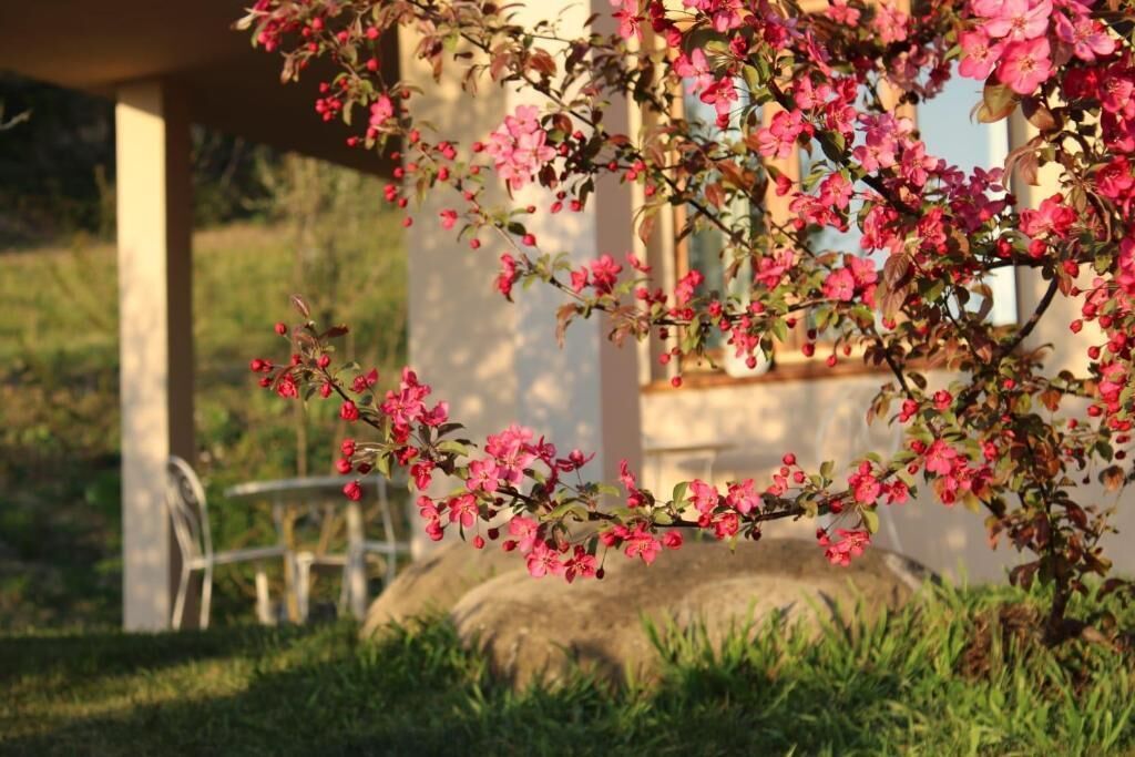 Un jardín con flores rosas en flor y una estructura de piedra.