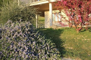 Property grounds - LE SETTE VIE HOLIDAY HOMES (Monforte d'Alba)
