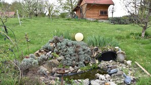 A rustic wooden cabin in a lush garden with a pond, rocks, and a birdbath.