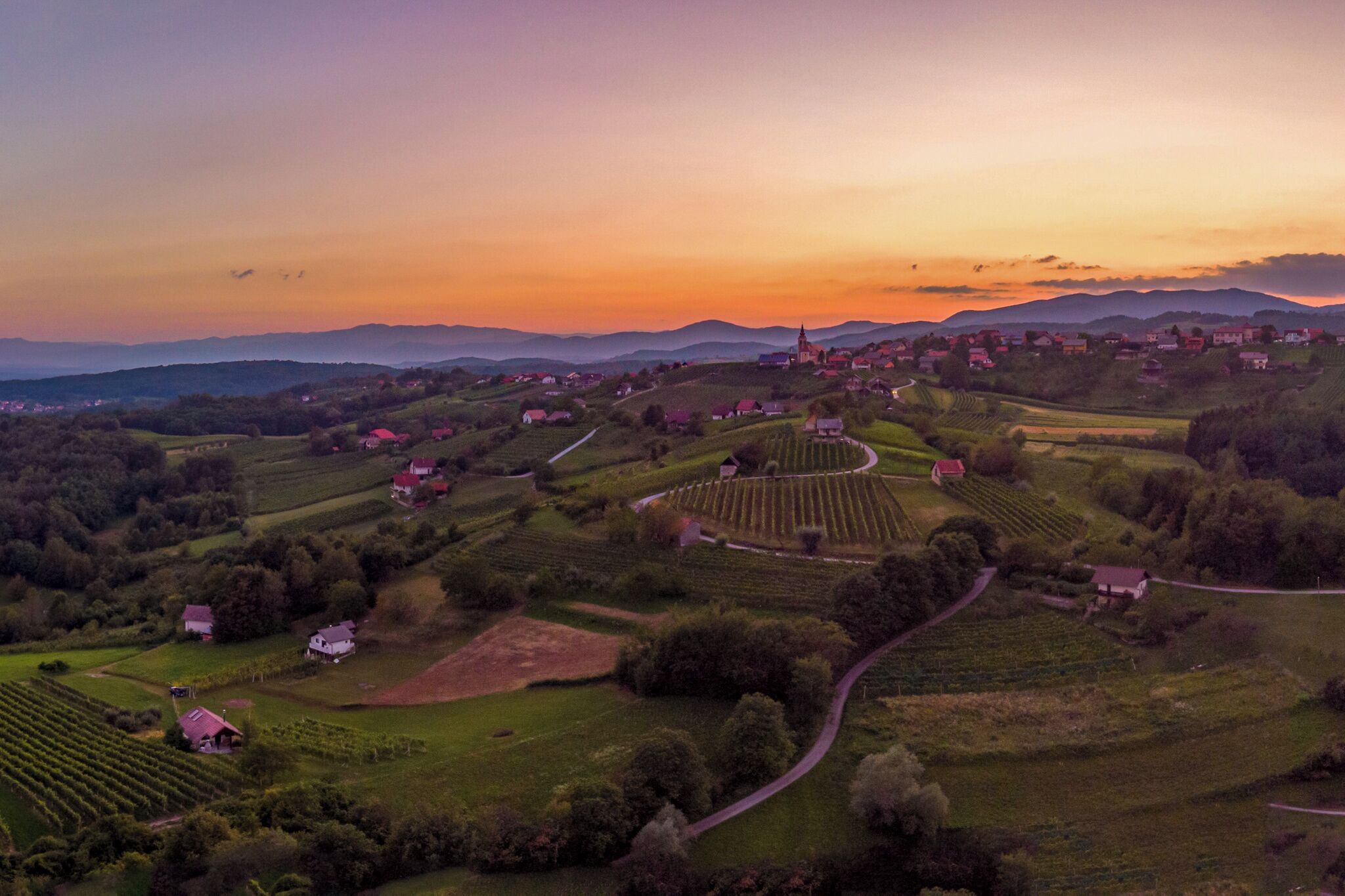 An aerial view of a rural landscape with houses, vineyards, and rolling hills.