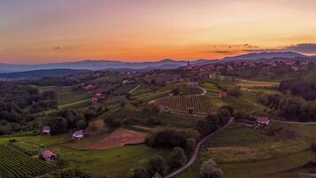 An aerial view of a rural landscape with houses, vineyards, and rolling hills.
