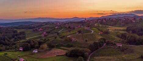An aerial view of a rural landscape with houses, vineyards, and rolling hills.