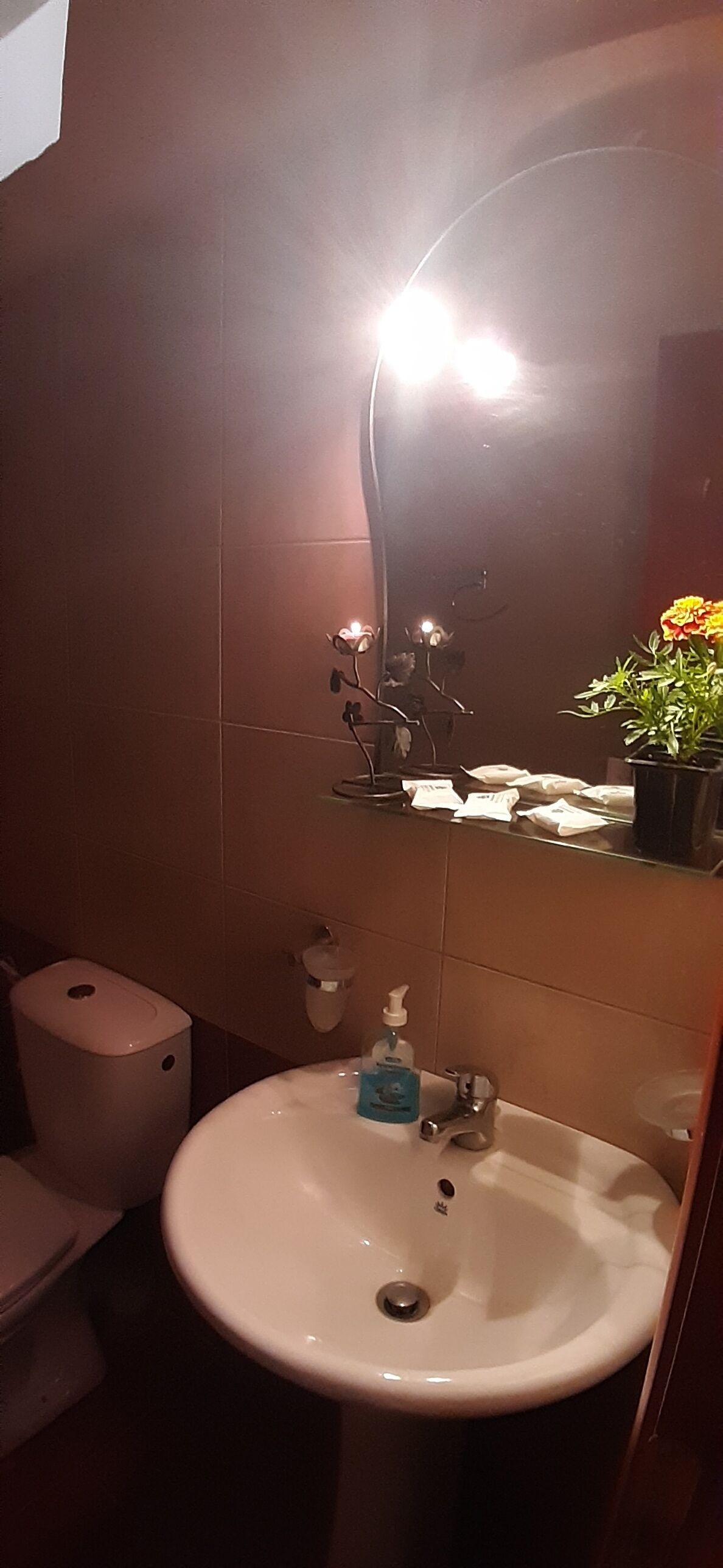 Golden Mountain in Pelion has an outdoor swimming pool, garden and mountain view