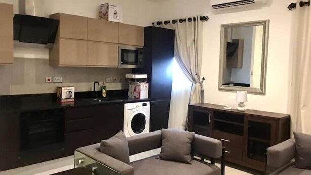 Un espace de vie compact comprenant un coin cuisine, un lave-linge, un canapé et un téléviseur.