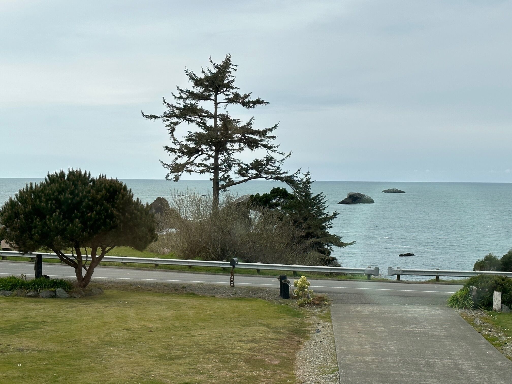 A coastal road with a large evergreen tree and a small bush in the foreground, leading to a view of the sea and distant islands.