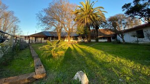 Un patio con una palmera, un banco de madera y un edificio con techo de tejas.