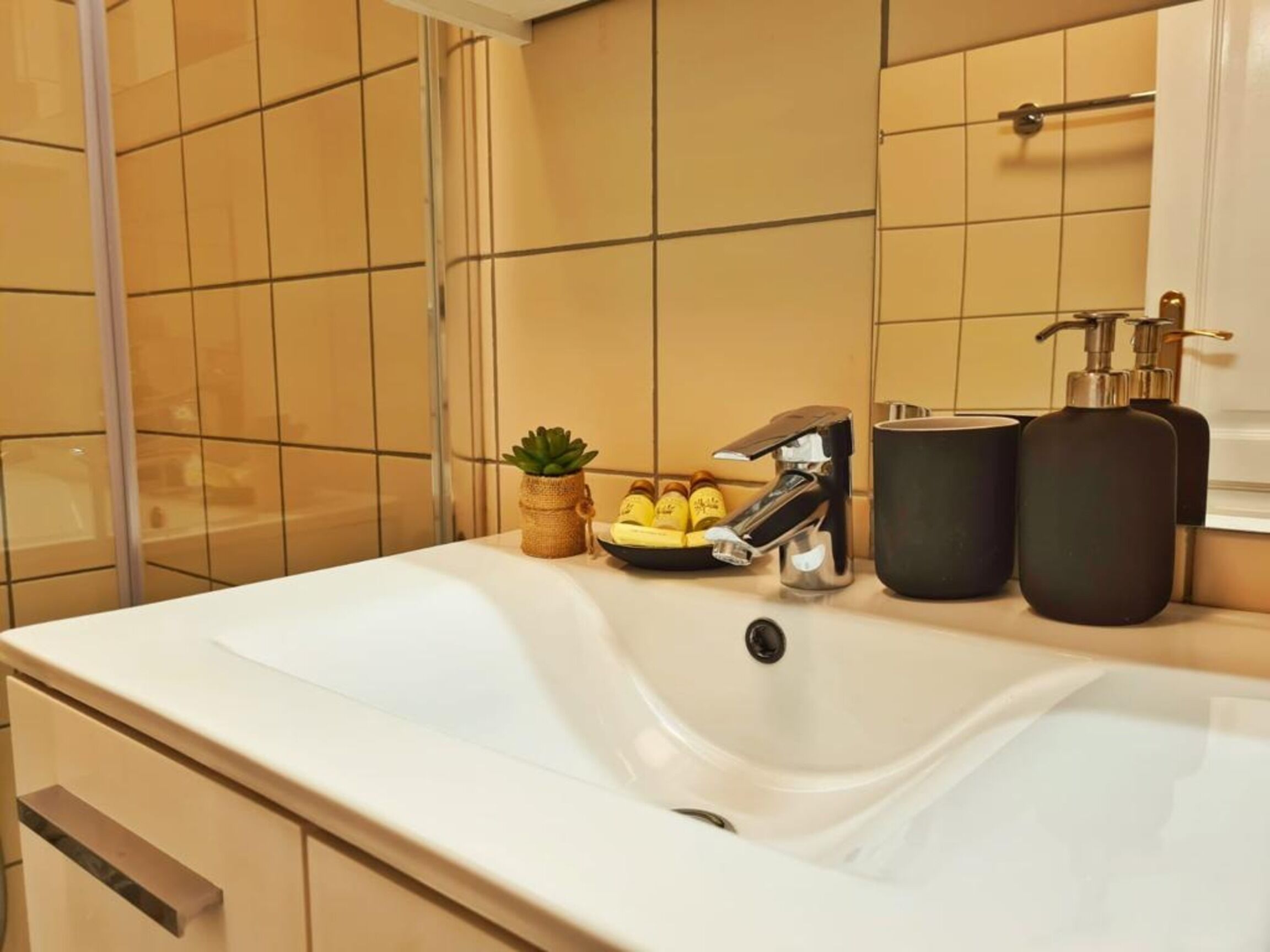 A bathroom with a white sink, a small potted plant, a soap dispenser, and a bottle of shampoo.