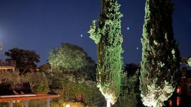 Ein Garten bei Nacht mit beleuchteten Bäumen und einem Pavillon.