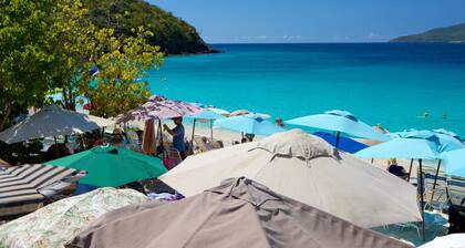 Cozy 1BR & 1 Bathroom - Private entrance