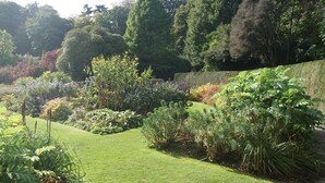 Un giardino curato con diverse piante e un prato ben tagliato.