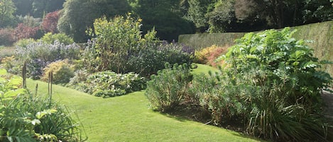 House | Property grounds