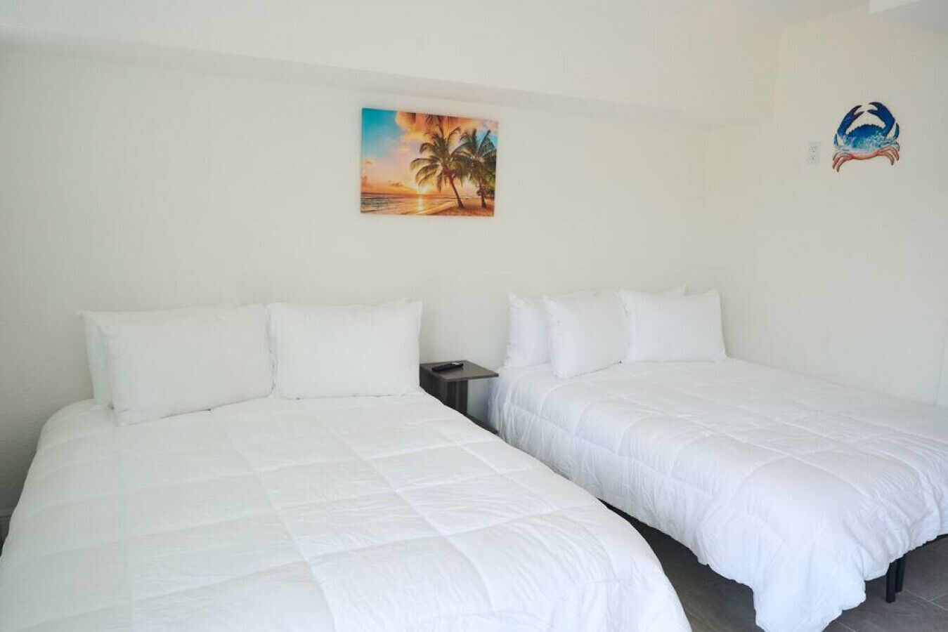 New Studio Across the Beach!