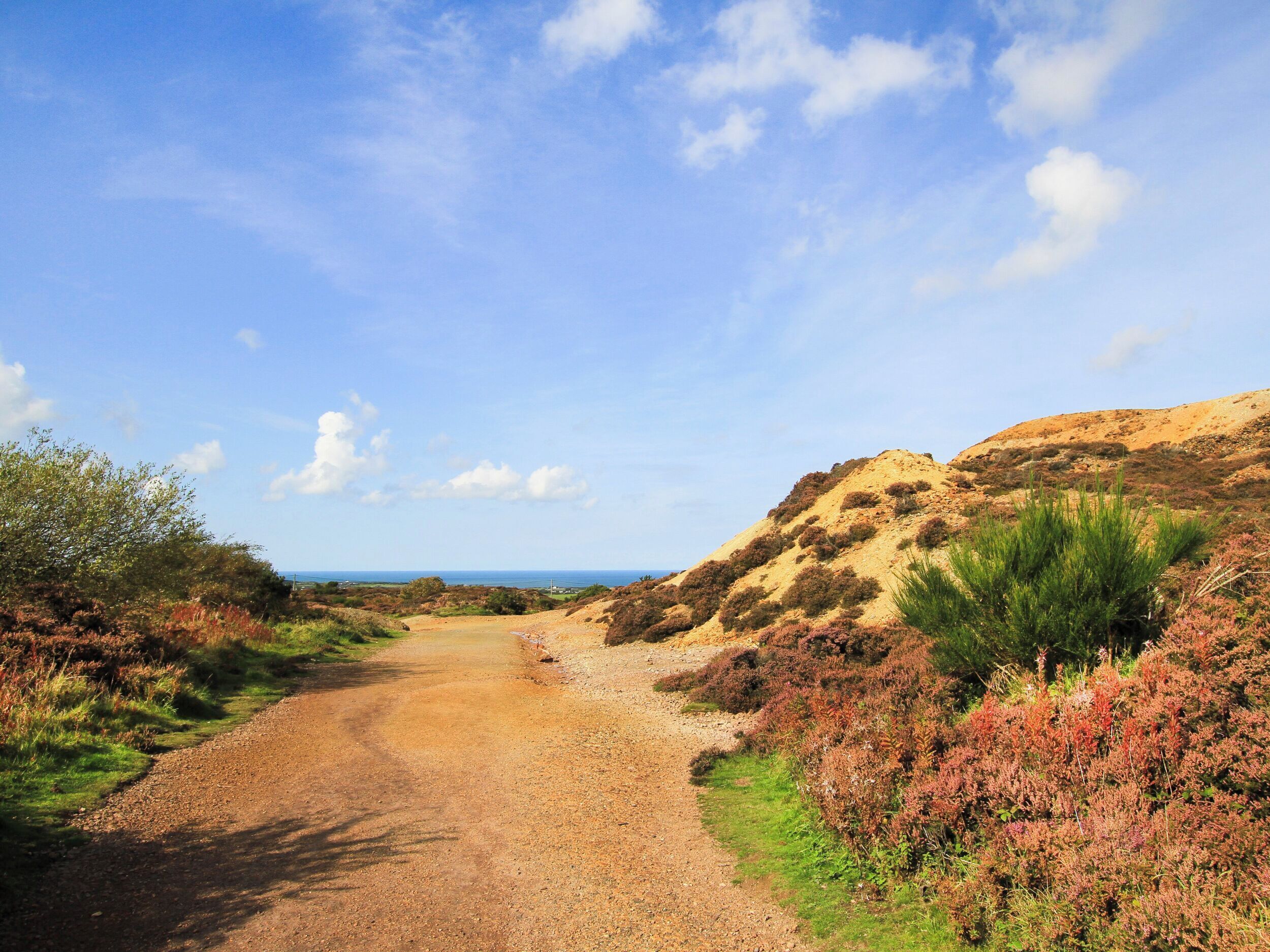 A gravel path leading through a natural landscape with sparse vegetation and hills in the background.