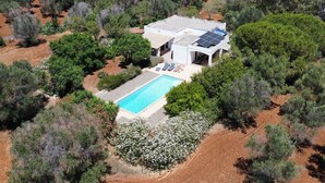 A modern house with a swimming pool surrounded by dense vegetation. - Villa Capperi - Very Private Villa with Pool for Full Relax (Puglia)