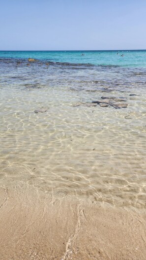 Sun loungers, beach towels