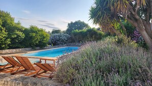 A swimming pool surrounded by lush greenery and a stone wall. - Villa Capperi - Very Private Villa with Pool for Full Relax (Puglia)