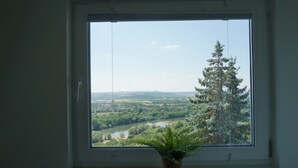 A window with a view of a river and forest, a potted plant on the windowsill, and a white wall. - Ferienhaus mit Wunderschöner Aussicht in Zentraler Lage (Weitersburg)