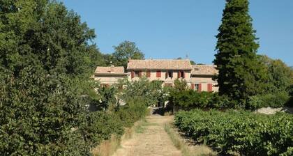 Large Old House with Private Pool/Garden in NYONS