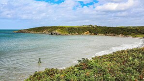 Un paysage côtier avec une plage, des collines verdoyantes et un ciel dégagé.